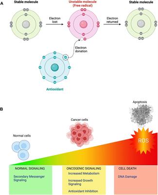 Recent advances and future directions in etiopathogenesis and mechanisms of reactive oxygen species in cancer treatment